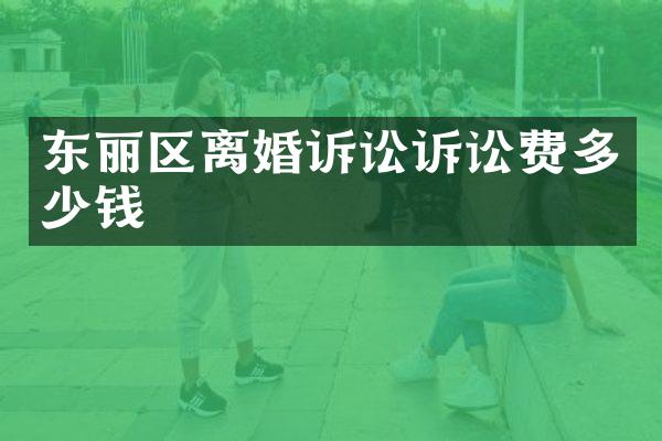 东丽区离婚诉讼诉讼费多少钱