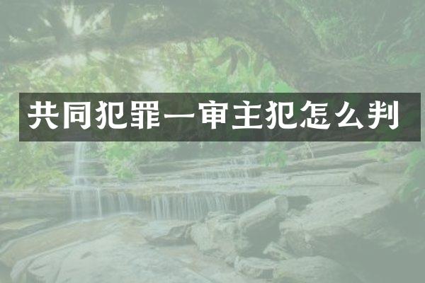 共同犯罪一审怎么判