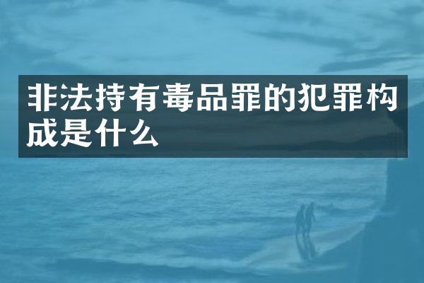 非法持有罪的犯罪构成是什么