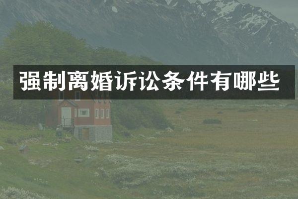 强制离婚诉讼条件有哪些