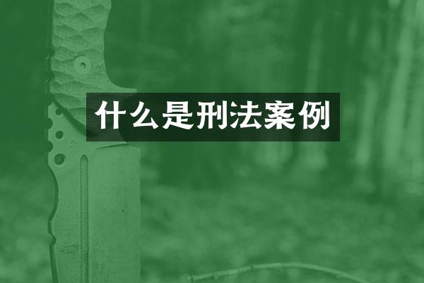 什么是刑法案例
