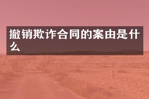 撤销欺诈合同的案由是什么