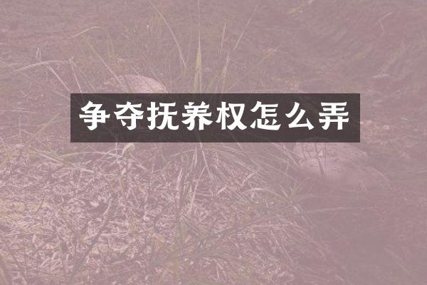 争夺抚养权怎么弄