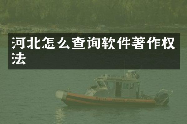 河北怎么查询软件著作权法