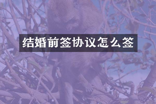 结婚前签协议怎么签