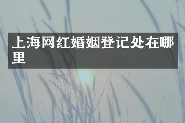 上海网红婚姻登记处在哪里