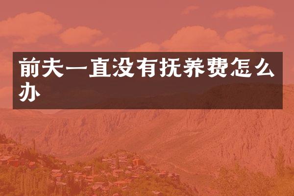 前夫一直没有抚养费怎么办
