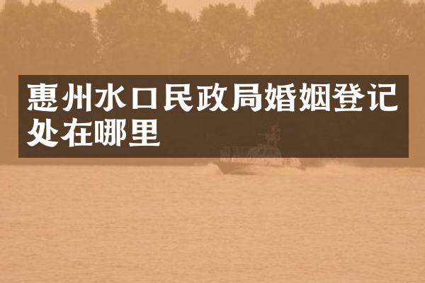 惠州水口民政局婚姻登记处在哪里