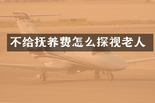 不给抚养费怎么探视老人