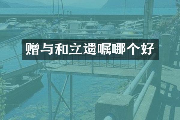 赠与和立遗嘱哪个好