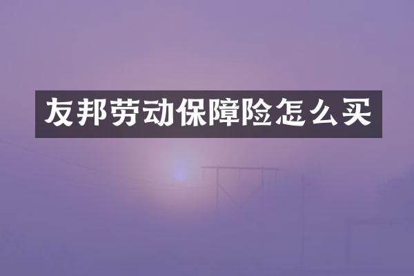 友邦劳动保障险怎么买