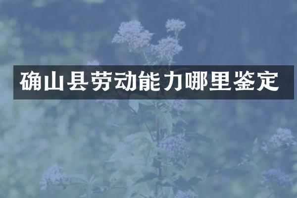 确山县劳动能力哪里鉴定