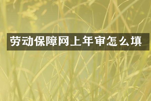 劳动保障网上年审怎么填