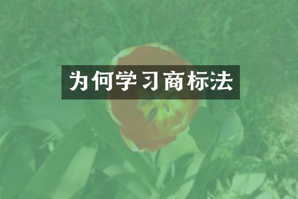 为何学习商标法