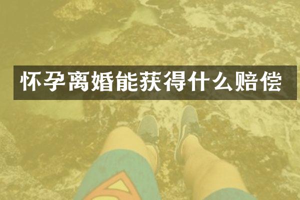 怀孕离婚能获得什么赔偿