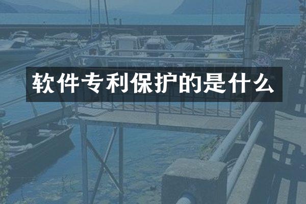 软件专利保护的是什么
