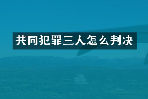 共同犯罪三人怎么判决