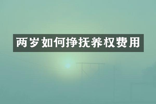 两岁如何挣抚养权费用