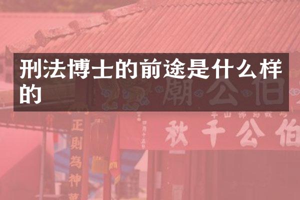 刑法博士的前途是什么样的