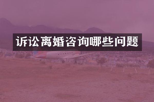 诉讼离婚咨询哪些问题