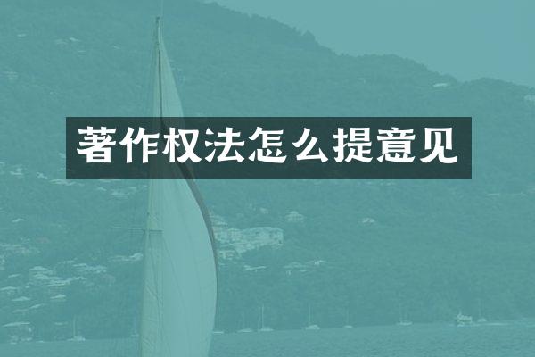 著作权法怎么提意见