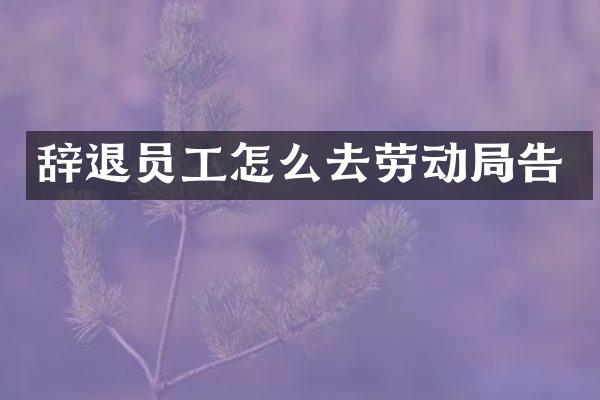 辞退员工怎么去劳动局告