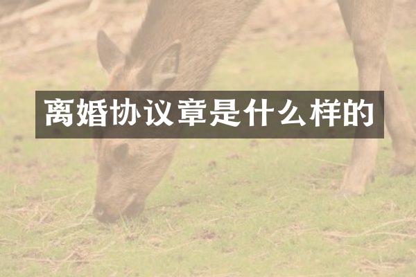 离婚协议章是什么样的