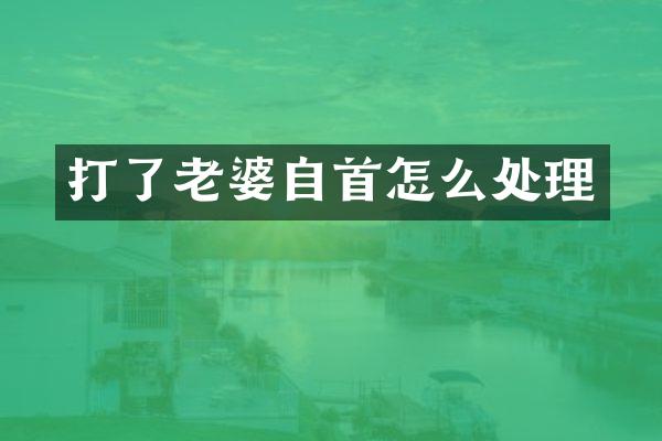 打了老婆自首怎么处理