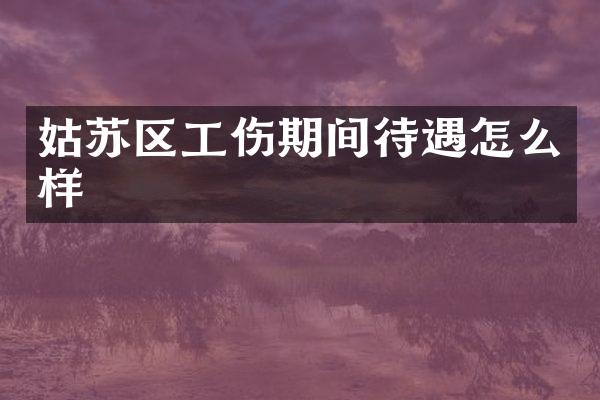 姑苏区工伤期间待遇怎么样