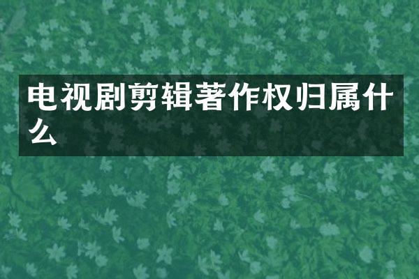 电视剧剪辑著作权归