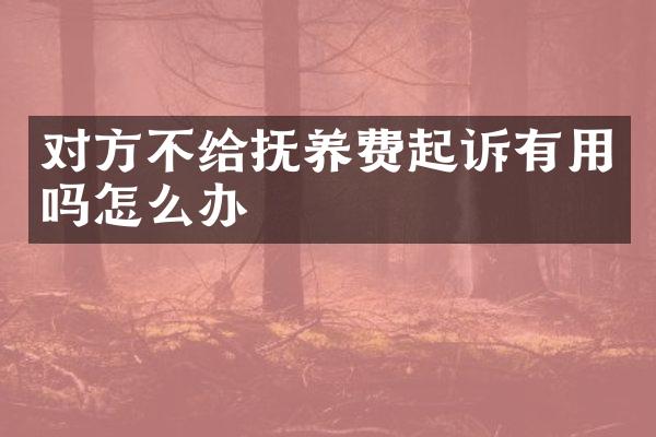 对方不给抚养费起诉有用吗怎么办