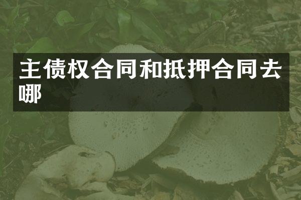 主债权合同和抵押合同去哪