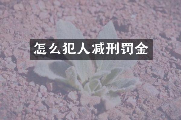 怎么犯人减刑罚金