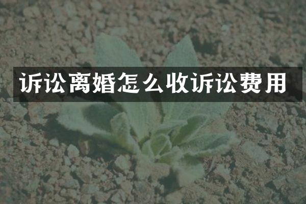 诉讼离婚怎么收诉讼费用