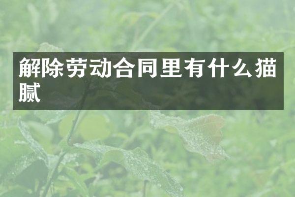 解除劳动合同里有什么猫腻