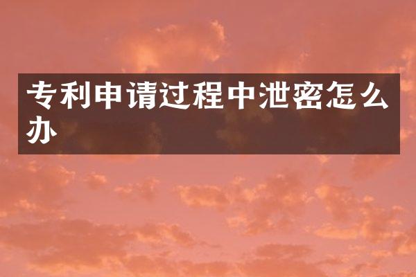 专利申请过程中泄密怎么办