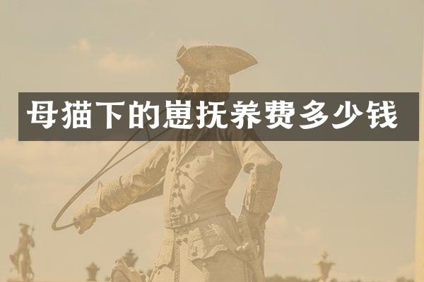 母猫下的崽抚养费多少钱