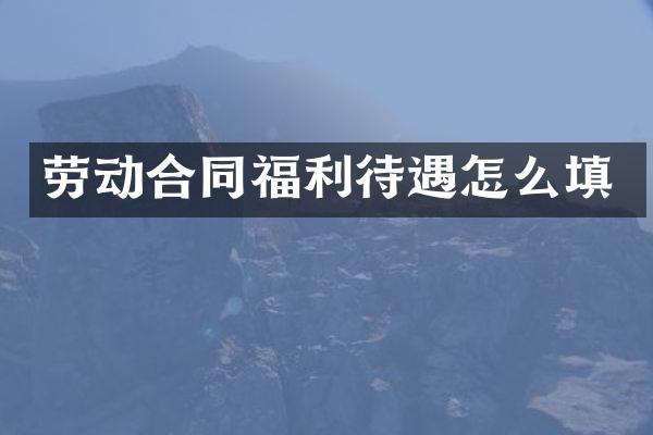 劳动合同福利待遇怎么填