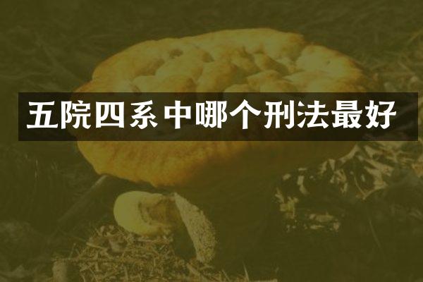 五院四系中哪个刑法最好