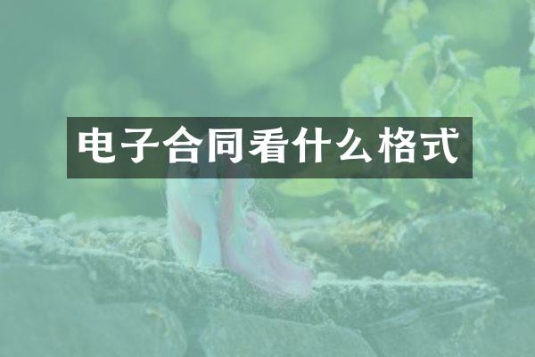 电子合同看什么格式