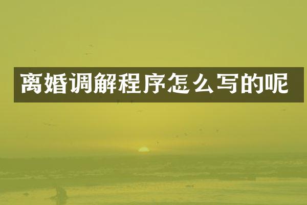离婚调解程序怎么写的呢