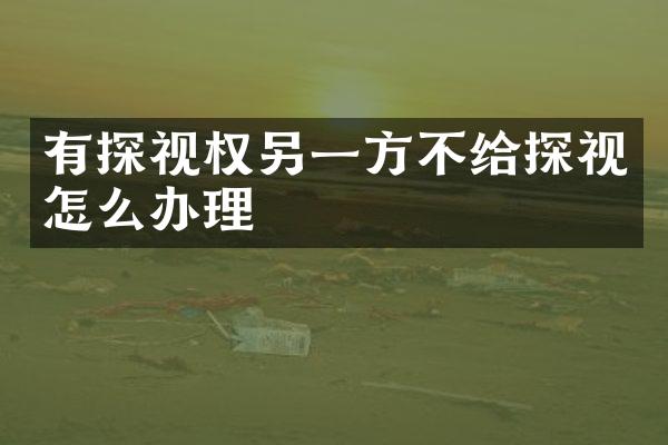 有探视权另一方不给探视怎么办理