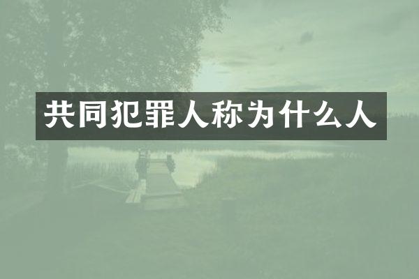 共同犯罪人称为什么人