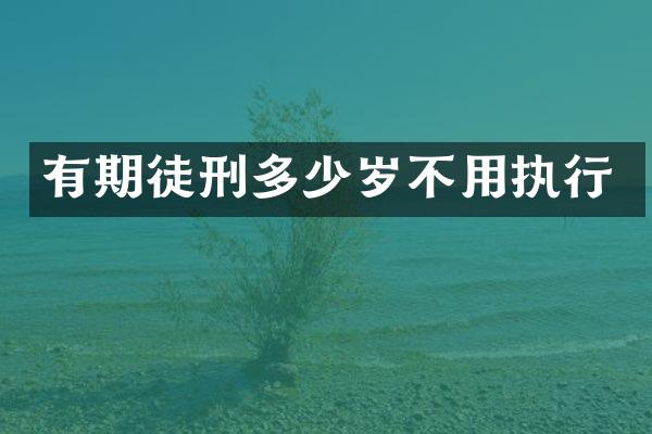 有期徒刑不用执行