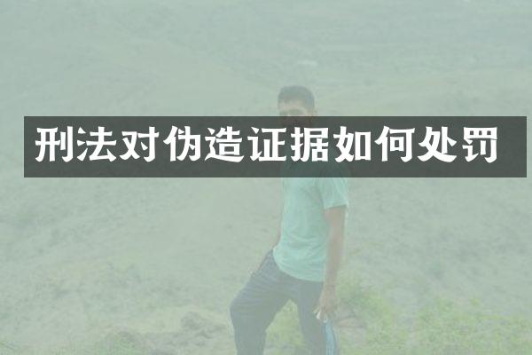 刑法对伪据如何处罚