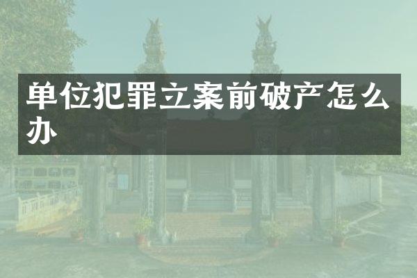 单位犯罪立案前破产怎么办