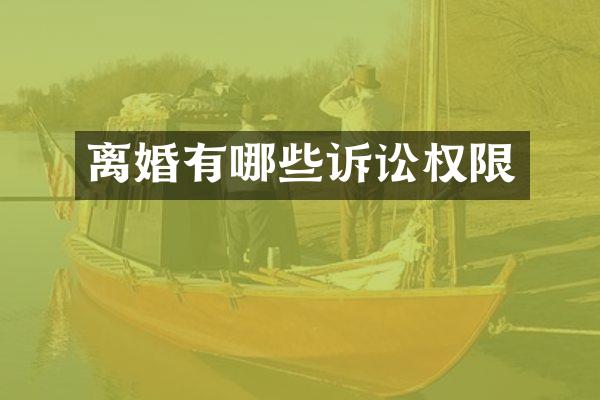 离婚有哪些诉讼权限