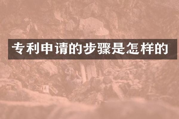 专利申请的步骤是怎样的