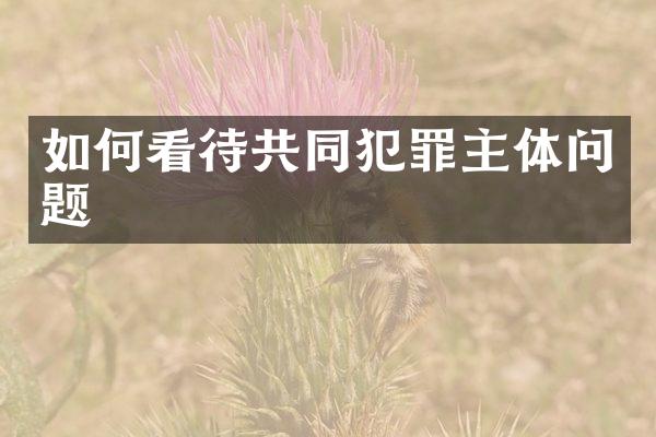 如何看待共同犯罪主体问题