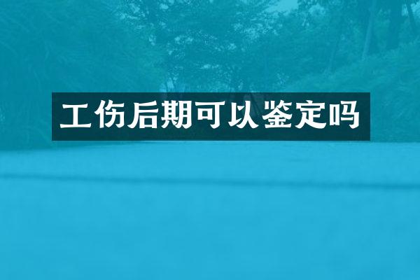 工伤后期可以鉴定吗